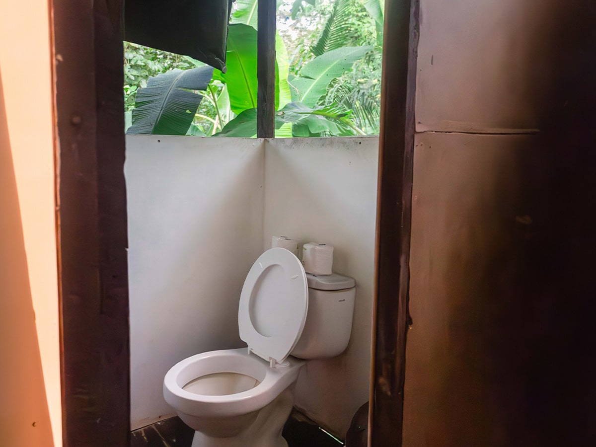 toilet