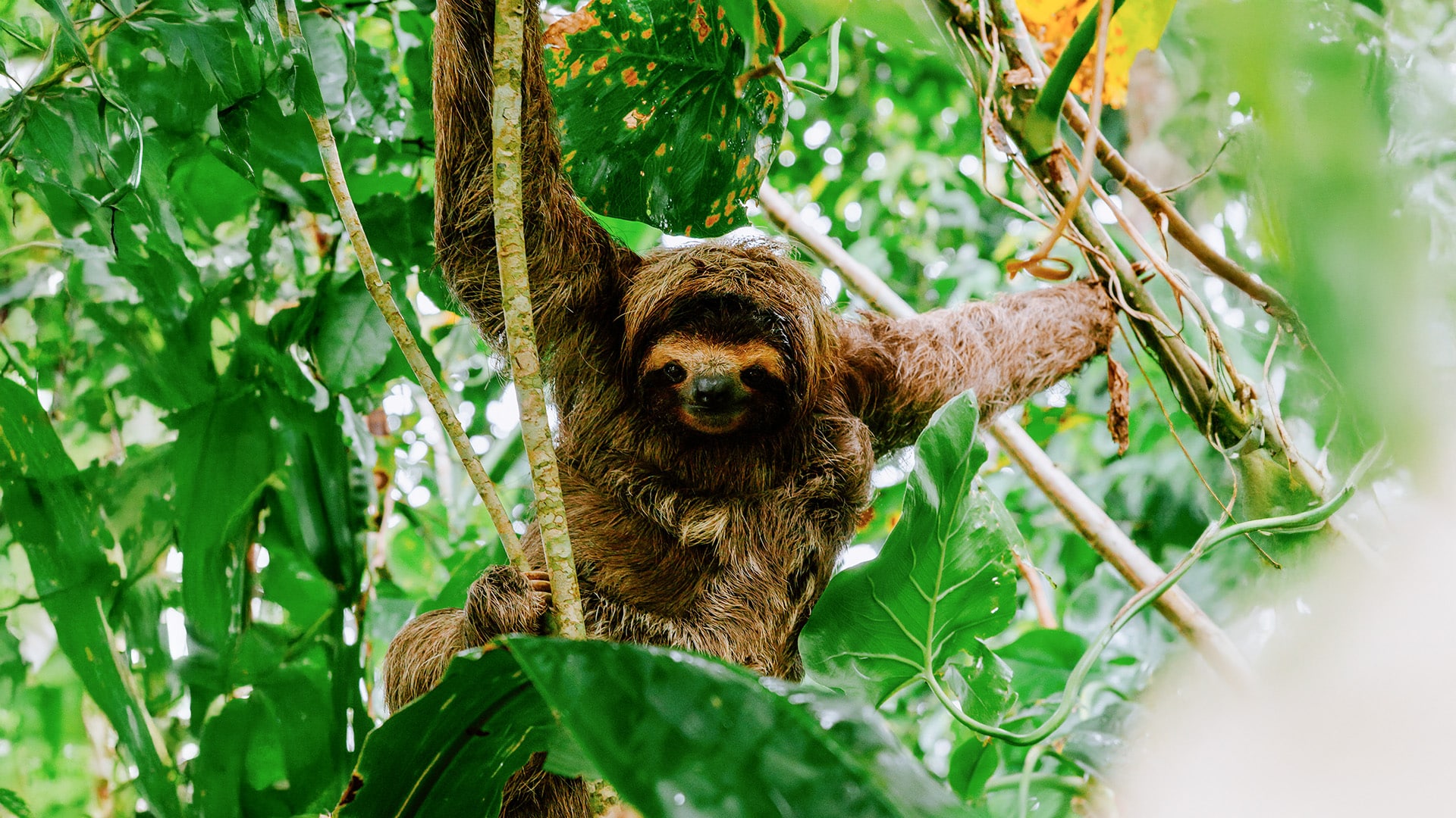 Costa Rica