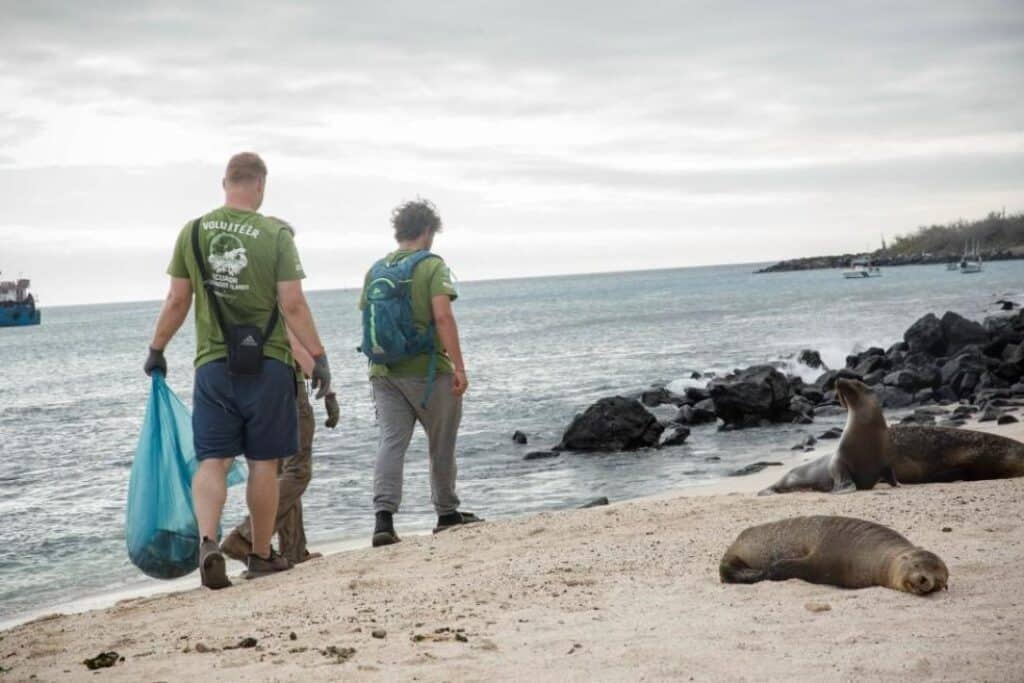 ecuador-sea-lion-beach-product-61ba03919286c.[1090]