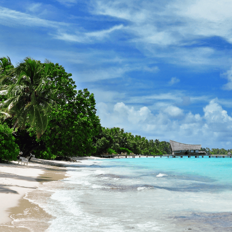 The Maldives