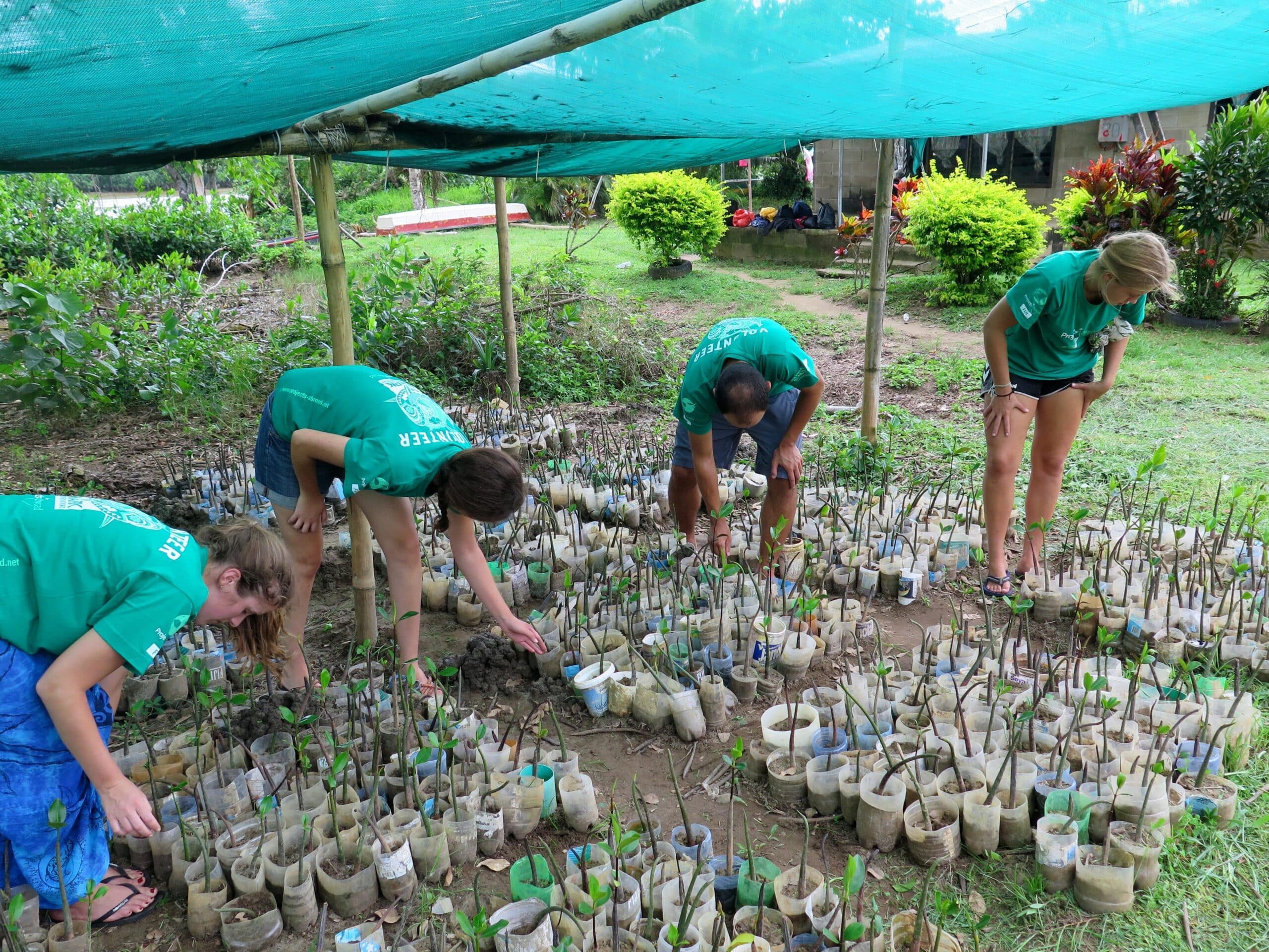 Projects Abroad Declares a Climate and Biodiversity Emergency