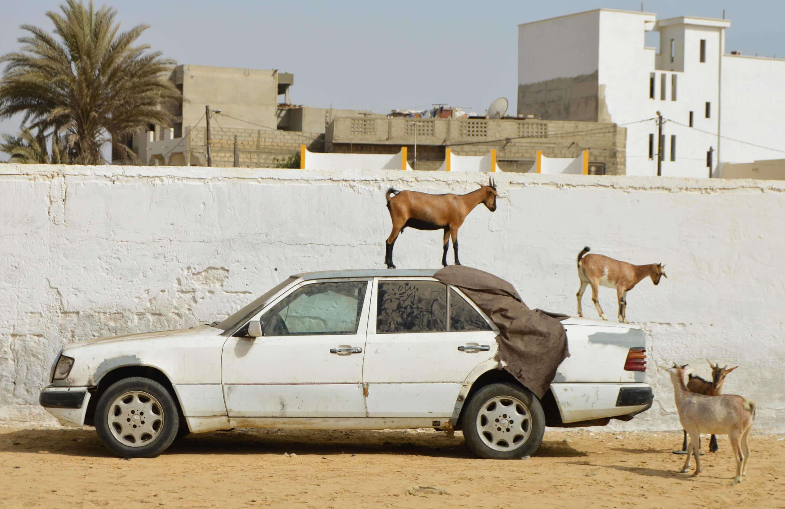 Coping With Culture Shock: Symptoms & Solutions