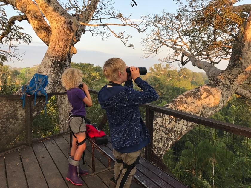 Belgian family searching for birds during a survey on their Conservation Project in Peru