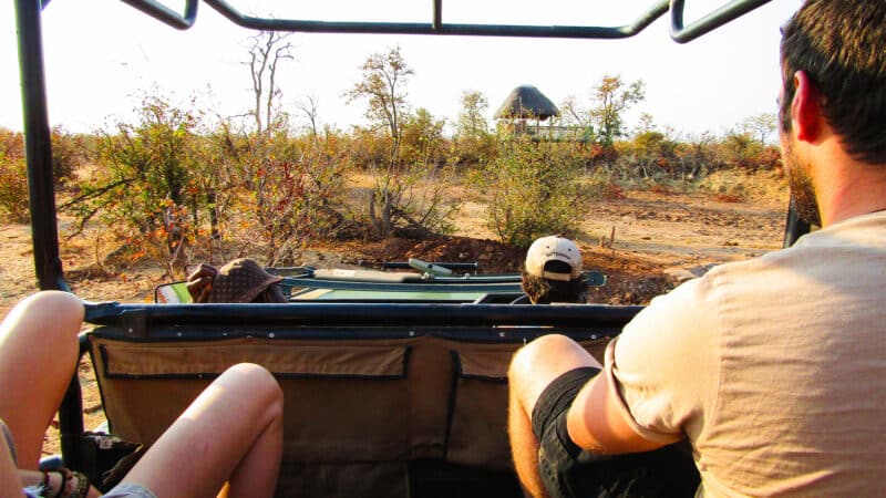 Wildlife Conservation Volunteering in Botswana - Image 2