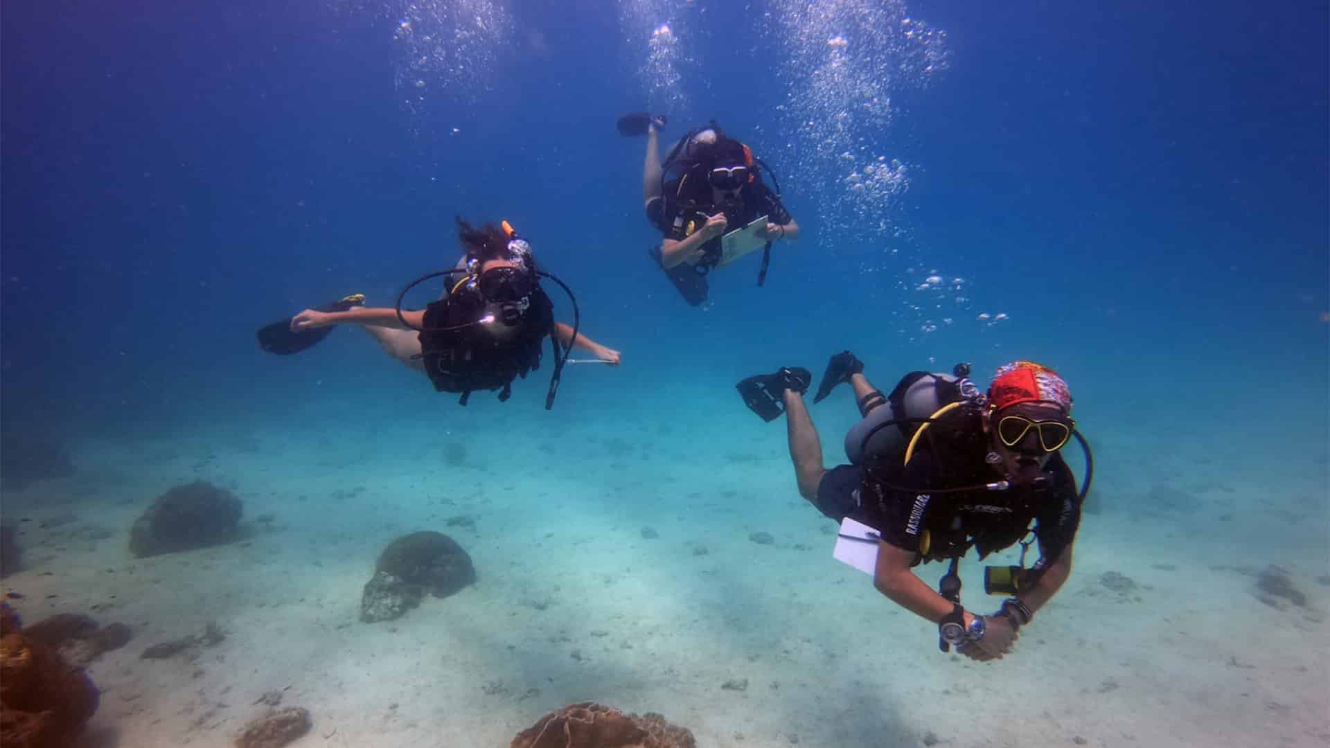 Thailand Diving