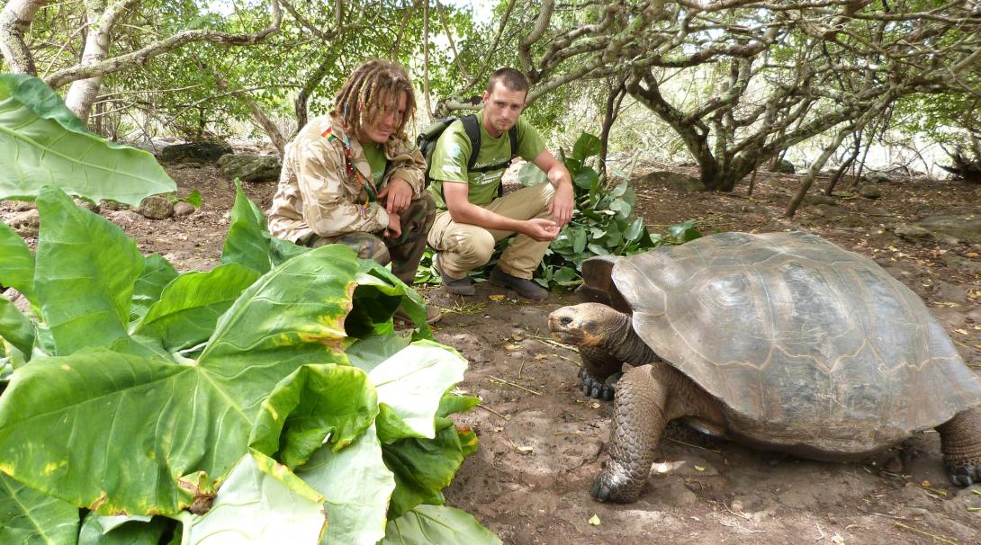 Protecting tortoises in the Galapagos