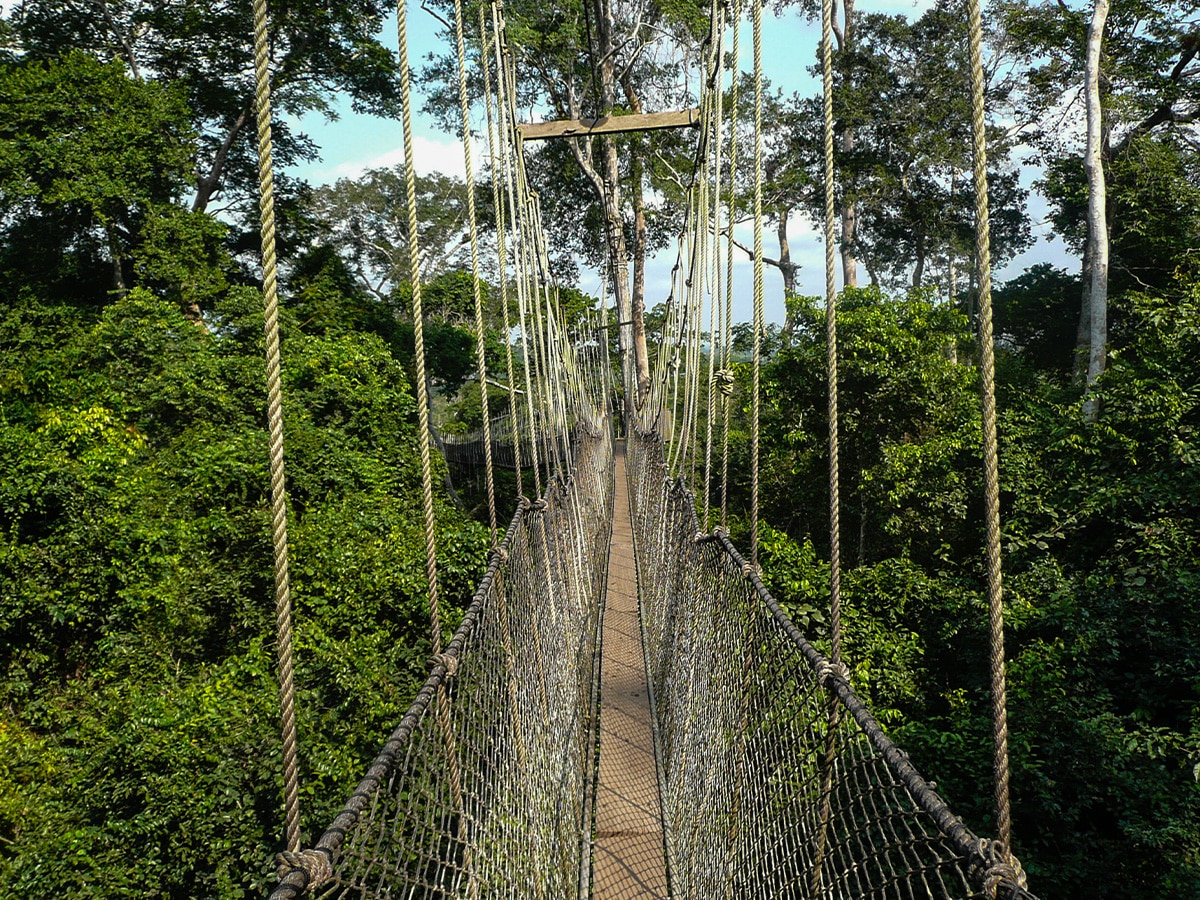 Ghana Kakum National Park