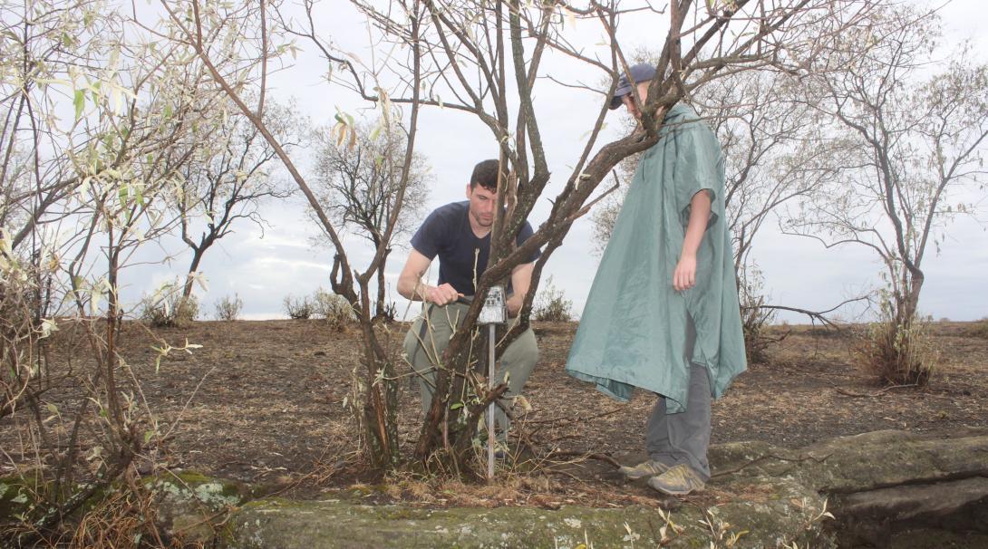 Conservation volunteers in Kenya setting up camera traps