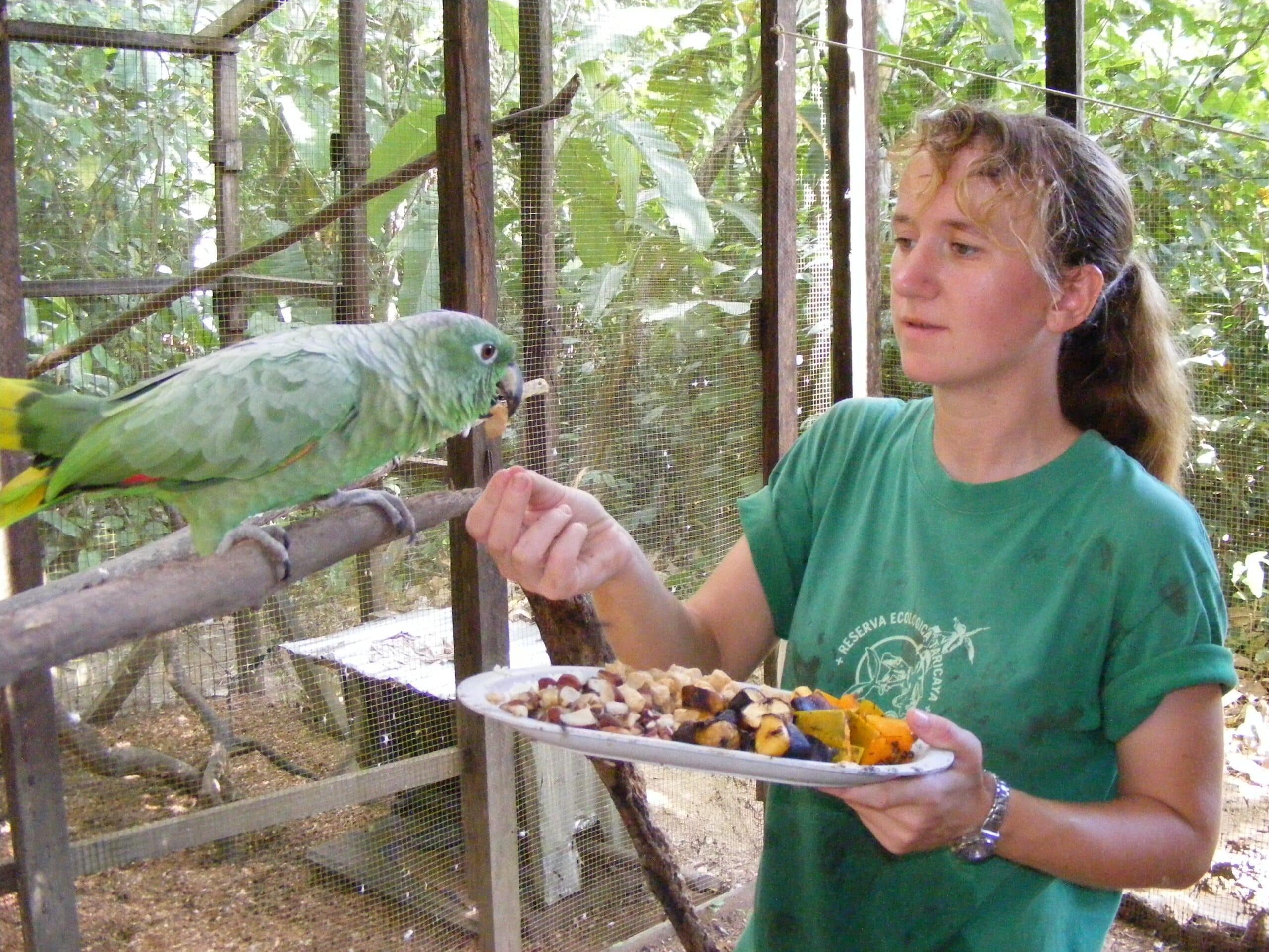 A Conservation volunteer feeds one of the birds in the rehabilitation centre in Peru