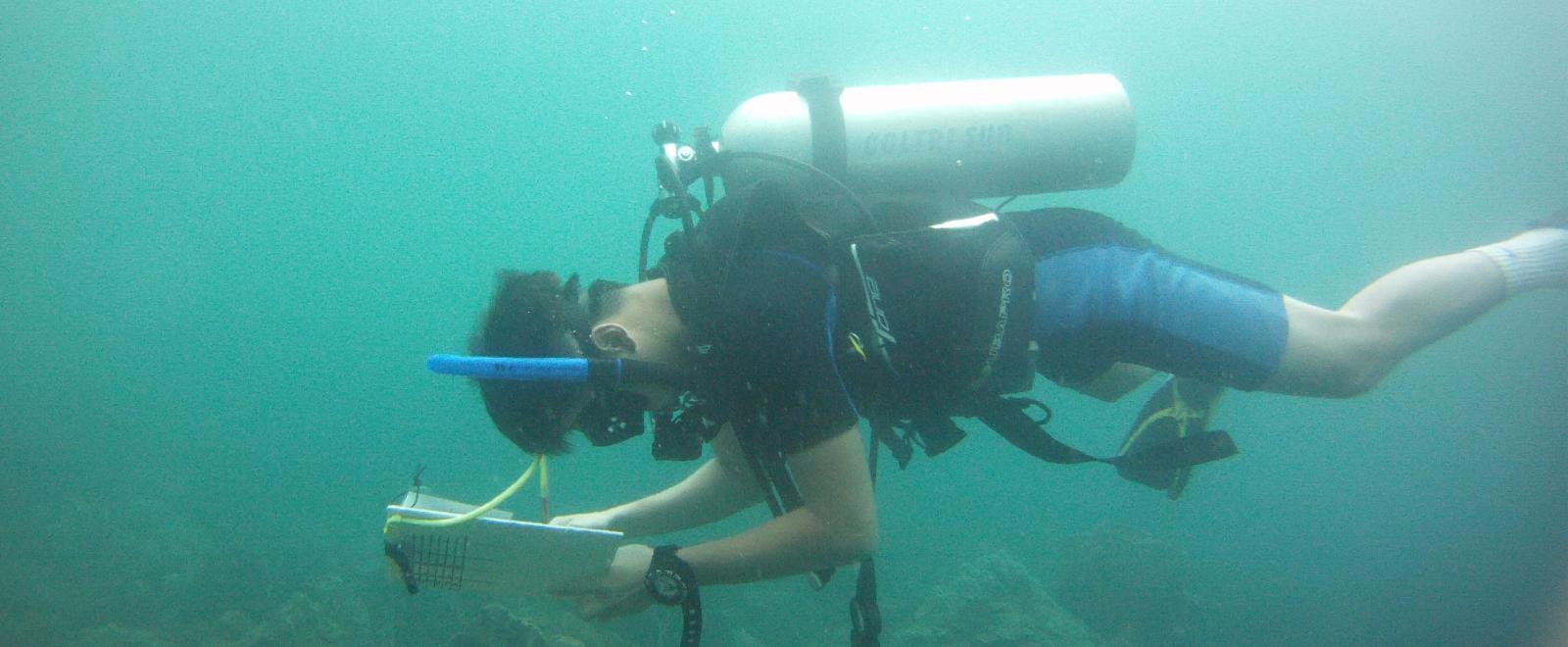 Divemaster Course Fiji 1600×660