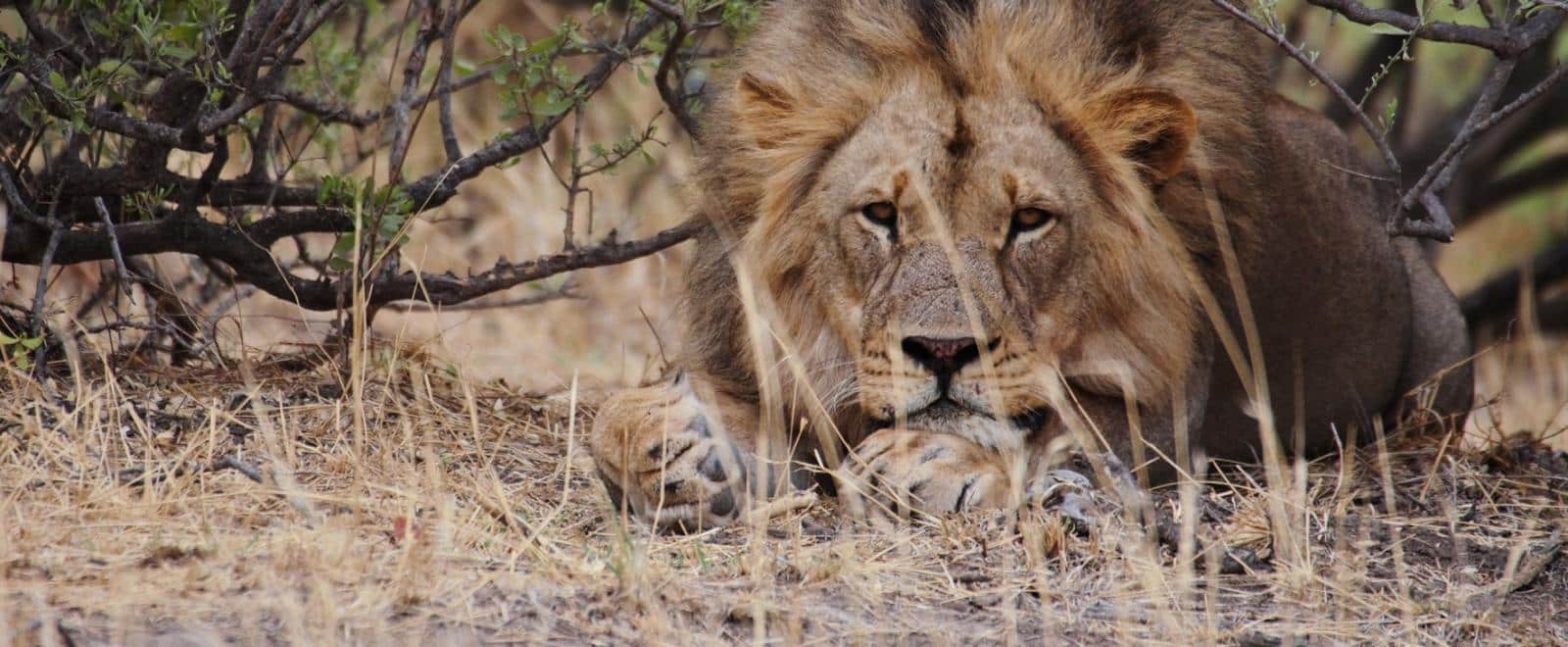 product-5cf1387811208.[1600]